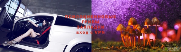 apvp Белокуриха