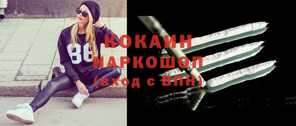 apvp Белокуриха
