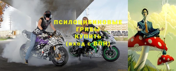 apvp Белокуриха