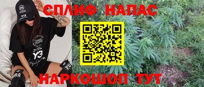 МДПВ Заводоуковск