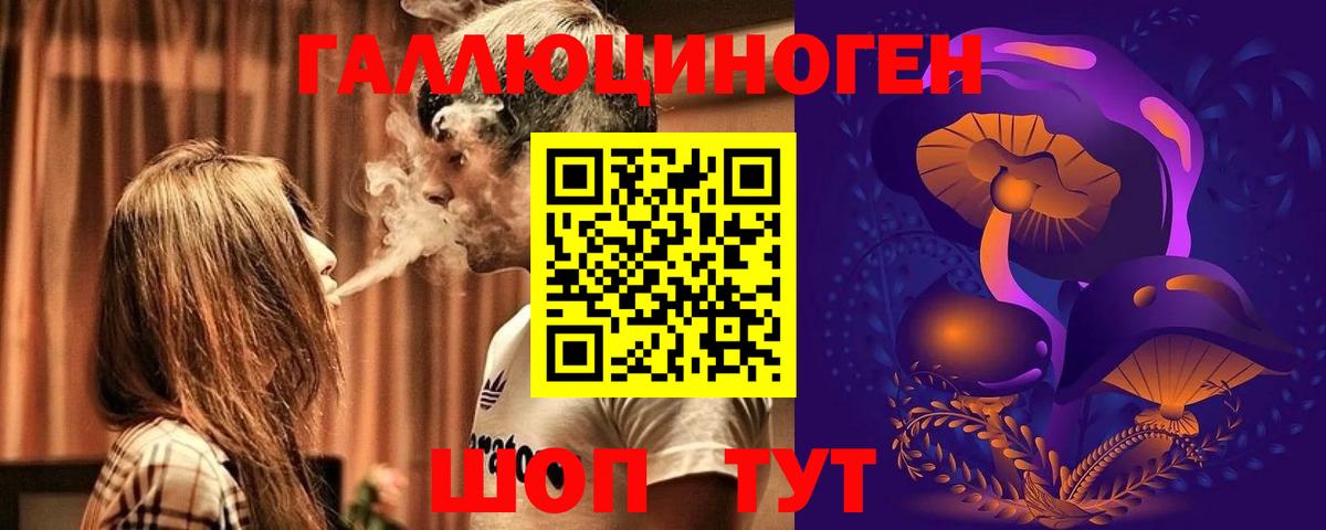 Галлюциногенные грибы Psilocybe Кушва